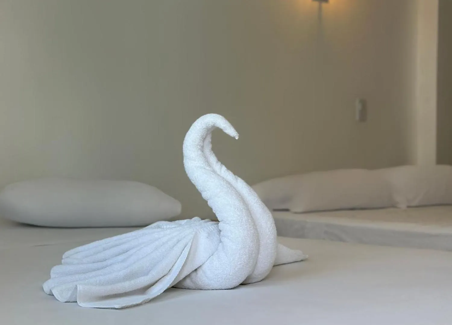 **  De Mar Hotel بلايا ديل كارمن المكسيك